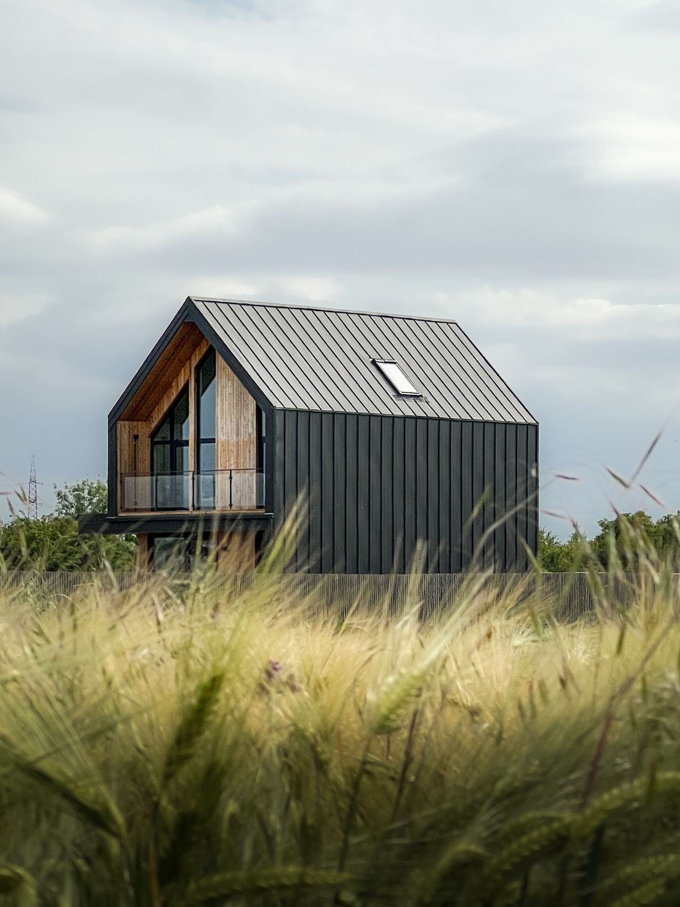 A dark-clad shed home standing in long grass on a rural block at dusk