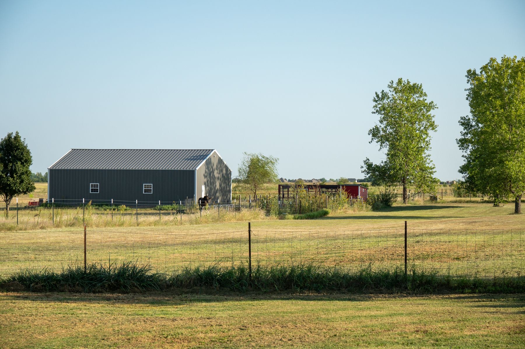 A dark shed home sitting in an open paddock behind a wire fence